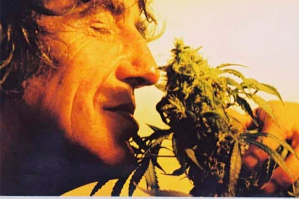 Grow Cannabis